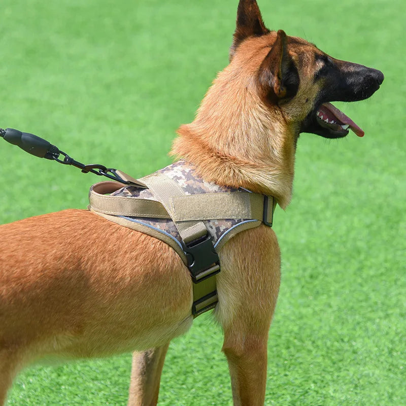 Dog Leash with Explosion-Proof Design and Reflective Chest Strap for Medium and Large Dogs
