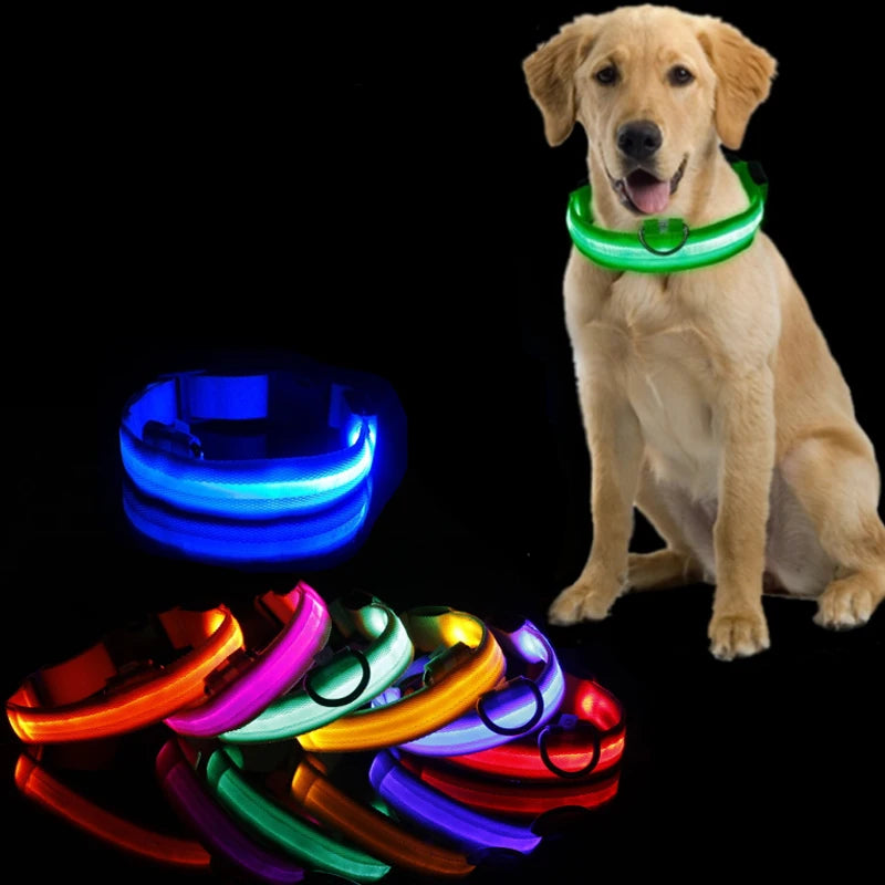 LED Dog Collar Light - Anti-Lost, Luminous USB Rechargeable Collar for Dogs and Puppies at Night