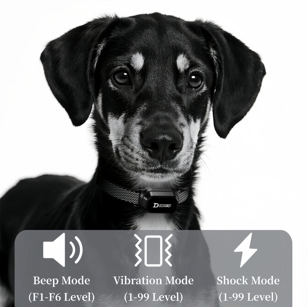 3300FT Waterproof Electric Dog Training Collar with Remote Control for 6-120lbs Puppies - Shock, Vibration, Anti-Barking