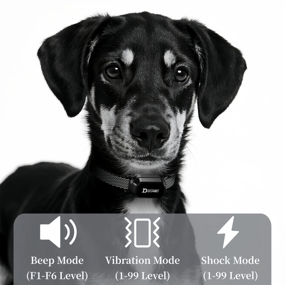 3300FT Waterproof Electric Dog Training Collar with Remote Control for 6-120lbs Puppies - Shock, Vibration, Anti-Barking