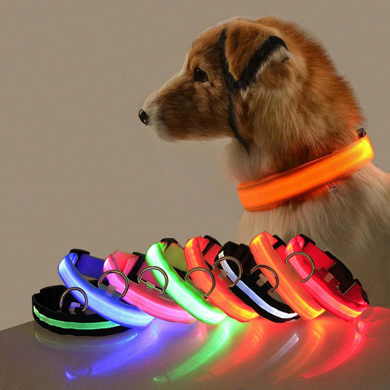 LED Dog Collar Light - Anti-Lost, Luminous USB Rechargeable Collar for Dogs and Puppies at Night