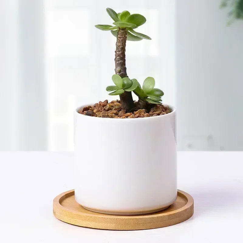 Vassoio in Bambù Multi-uso per Piante e Tazze - Sottobicchiere Decorativo in Legno per Cucina