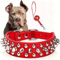 Spiked Leather Dog Collar and Leash Set - Adjustable Rivet Design for Outdoor Walking