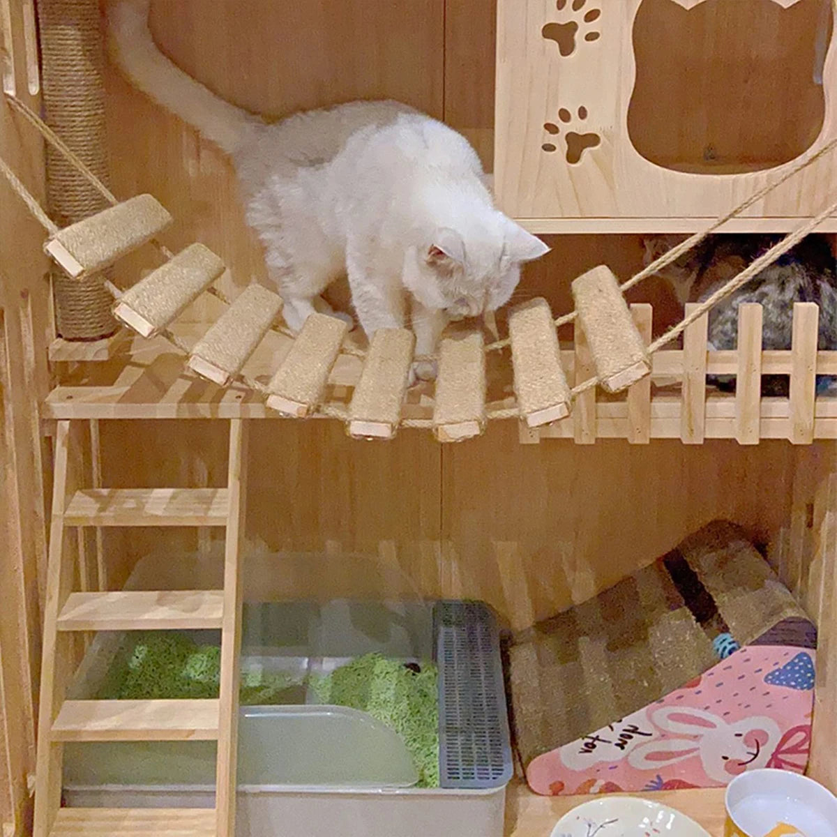 Cat Climbing Frame Bridge - Wooden Cat Ladder with Sisal Rope for Scratching, Cage Climber & Pet Furniture