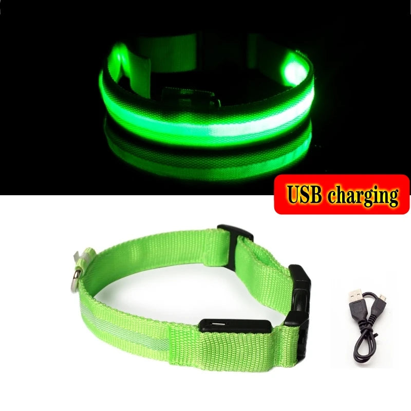 LED Dog Collar Light - Anti-Lost, Luminous USB Rechargeable Collar for Dogs and Puppies at Night