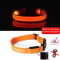 LED Dog Collar Light - Anti-Lost, Luminous USB Rechargeable Collar for Dogs and Puppies at Night