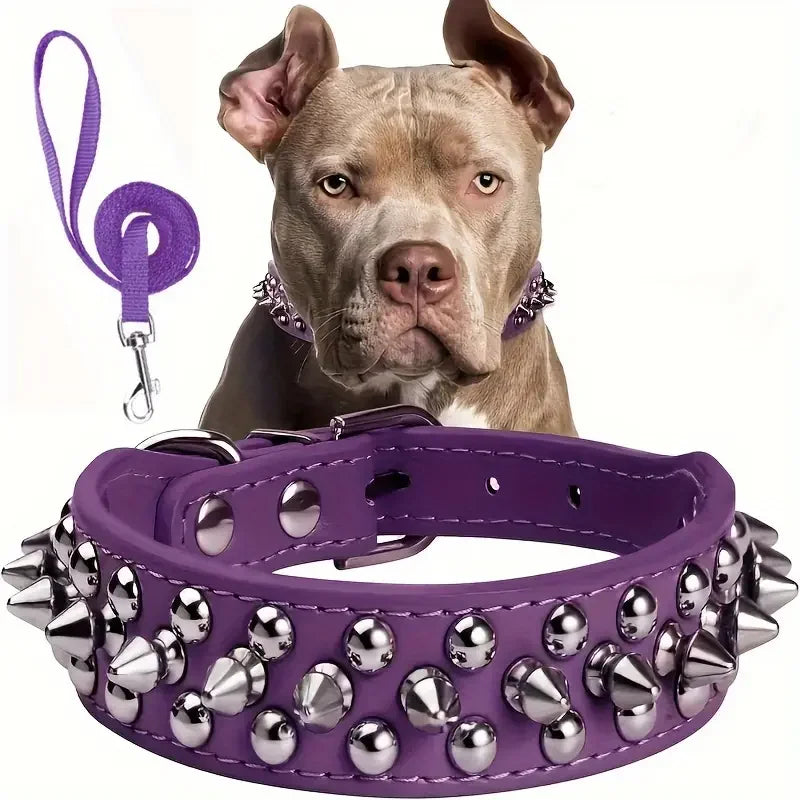 Spiked Leather Dog Collar and Leash Set - Adjustable Rivet Design for Outdoor Walking